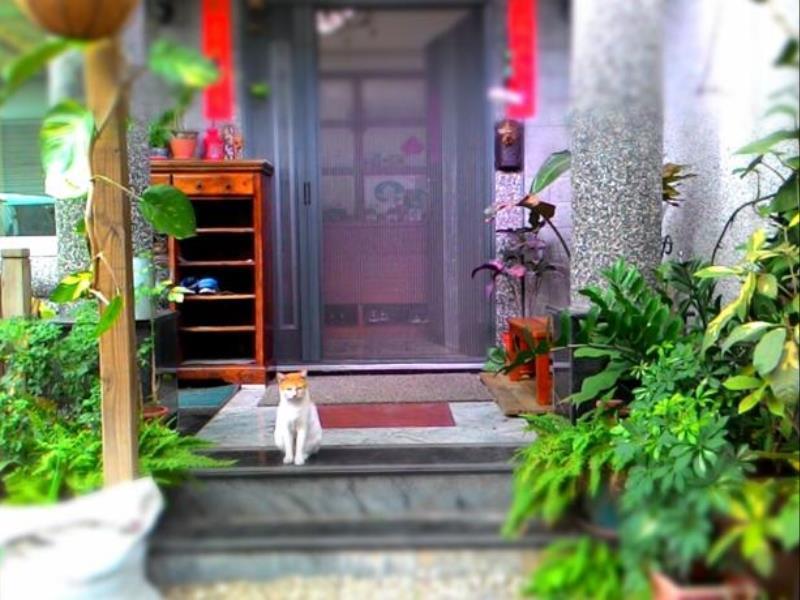 水悅雅築民宿 Shuiyue Guest House Hualien Dış mekan fotoğraf